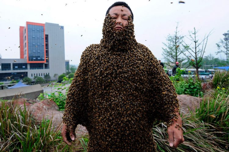 Найбільше бджіл на тілі