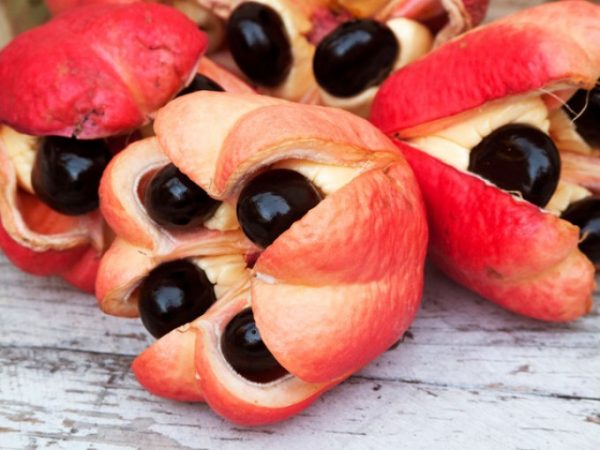 10 рідкісних фруктів